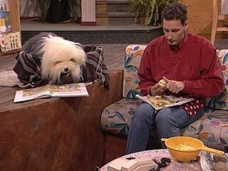 Samson & Gert stoppen na ruim 30 jaar