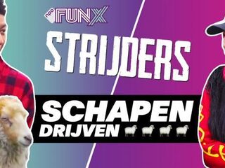 Welke FunX Strijders connecten het beste met schapen?
