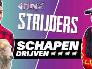 Welke FunX Strijders connecten het beste met schapen?