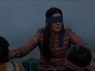 Netflix roept mensen op te stoppen met 'Birdbox challenge'