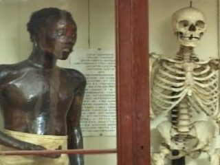 Italiaans museum heeft al jaren twee opgezette Afrikanen in tentoonstelling