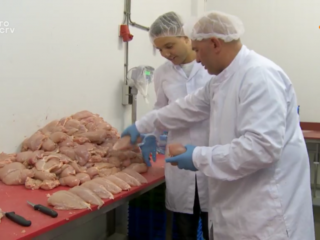 VIDEO: Waar komen die grote kipfilets vandaan?