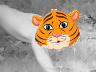 LSD-trip: Man rent naakt door bos, denkt dat hij Siberische tijger is