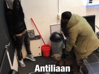 Dit is hoe mensen uit verschillende culturen reageren op een hond