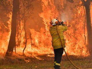 "Gebied bosbranden Australië wordt misschien twee keer groter dan Nederland"
