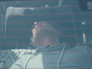 Confronterend experiment: zo voelt een hond zich in een hete auto