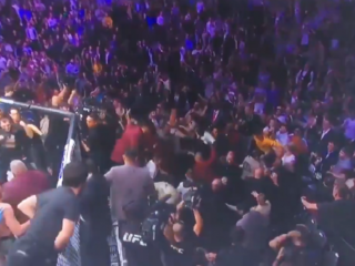 Massaal gevecht breekt uit na Khabib vs. McGregor