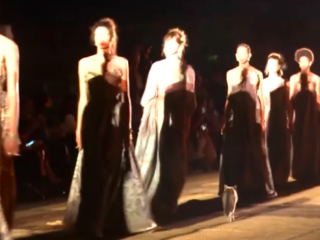 Kat crasht onverwacht catwalk van Dior-show in Marrakech