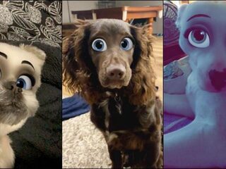 Je hond wordt een Disneyfiguur dankzij deze Snapchatfilter