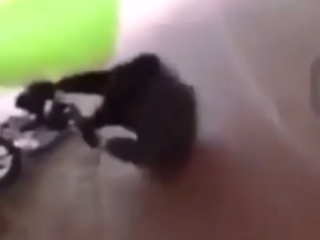 Politie zoekt fietsschopper van misselijkmakende snapchatvideo