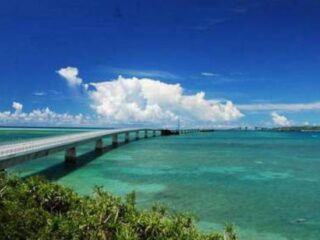Japanner vraagt vriendin ten huwelijk en valt van brug