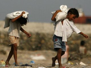 'Kinderarbeid op cacaoplantages toegenomen ondanks beloftes producenten'