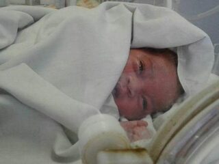 Hond redt pasgeboren baby die in riool achtergelaten werd