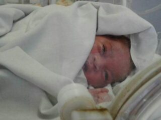 Hond redt pasgeboren baby die in riool achtergelaten werd