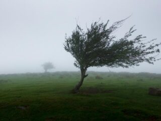 Storm Dennis volgt storm Ciara dit weekend op