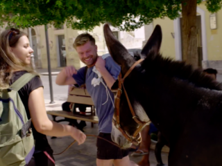 In dit programma reizen deelnemers met dier en bepalen of het geslacht moet worden