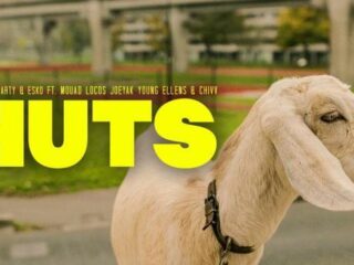 Huts: wat betekent het eigenlijk?