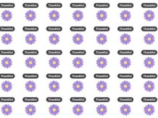 De thankful button van Facebook is terug!