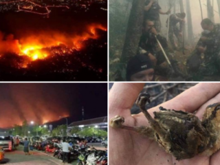 Inwoners Thaise Chiang Mai vragen aandacht voor heftige bosbranden