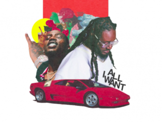 T-Pain releast nieuwe single 'All I Want'