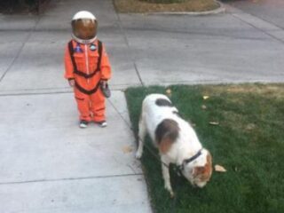 FOTO'S: Yung Astronaut en Lil' Dogg worden op meest originele manieren bewerkt