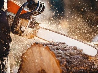 Vrouw (22) moet twee jaar cel in na afzagen van haar eigen hand