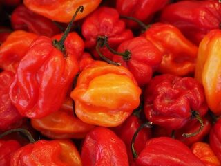 Sambal, chutney of andere pepermengsels: 7 x hete smaaksensaties