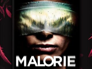 Schrijver bevestigt: vervolg op Netflix-film 'Bird Box' in de maak