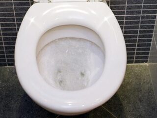 Dit toilet geeft voedingstips terwijl je rustig aan het poepen of plassen bent