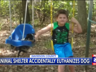 Dierenarts laat verkeerde hond inslapen