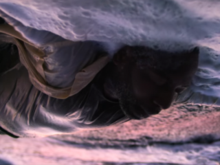 Winne neemt je mee naar de 'Horizon' in zijn nieuwe video