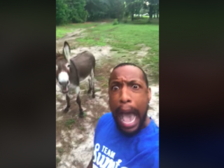 Man doet The Lion Kings 'Circle of Life'-duet met ezel en dat gaat zo