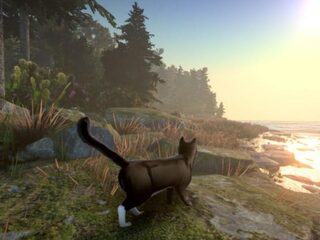 In kattengame 'Peace Island' ga je op zoek naar je 'verdwenen' baasje