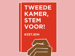 Meiden achter petitie racisme als verplicht schoolvak vragen hulp bij volgende stap