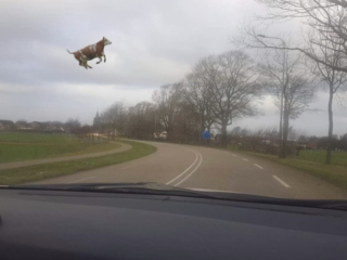 De 11 leukste reacties op de storm