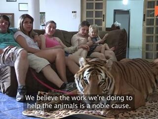 Deze familie woont samen met zeven tijgers