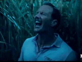 Netflix komt met bloedstollende Stephen King-film 'In the Tall Grass'