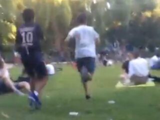 GEFLASHT: Massahysterie in Vondelpark om (neppe) Pokémon Charizard