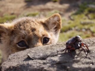 Beyoncé en Childish Gambino zingen The Lion King-hit van Elton John