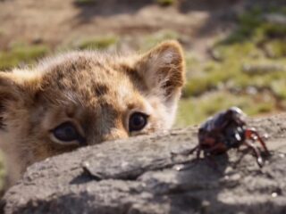 Beyoncé en Childish Gambino zingen The Lion King-hit van Elton John