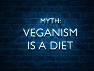 Canadese Toronto heeft vanaf nu een wijk waar alles vegan is