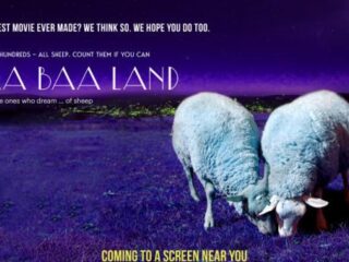 Baa Baa Land: een acht uur durende film met honderd schapen in de hoofdrol