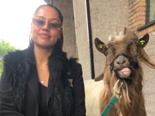 Geit verrast Tabitha met nominatie voor FunX Music Awards