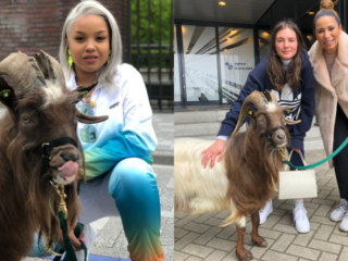 The G.O.A.T. verrast genomineerden voor Artist of the Year Female!