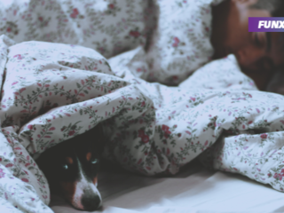 Dit is waarom een slaaptekort kan leiden tot een kernramp