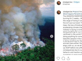 #PrayforAmazonia gaat viral: "Amazonewoud staat al 3 weken in de fik!"