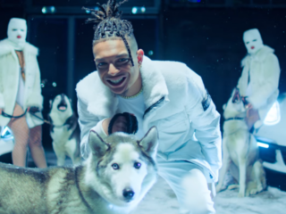 Ronnie Flex laat zich opnemen in afkickkliniek