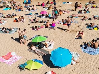 Boa naar ziekenhuis nadat hij wordt belaagd bij strand IJmuiden