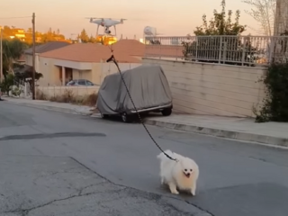 Cyprioot laat hondje uit met drone tijdens coronacrisis