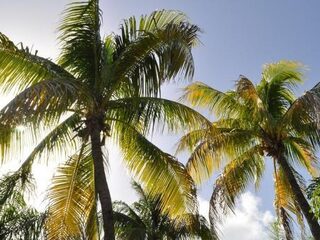 DJ Superior brengt je in zomerse sferen met de Zomer Top 100 Mix 2017